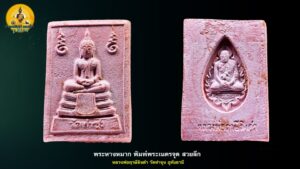 พระหางหมาก หลวงพ่อฤาษีลิงดำ วัดท่าซุง จ.อุทัยธานี พิมพ์พระเนตรจุด องค์ที่ 8