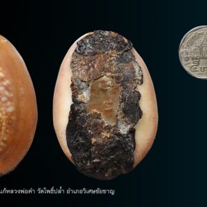 เบี้ยแก้หลวงพ่อคำ วัดโพธิ์ปล้ำ อำเภอวิเศษชัยชาญ จังหวัดอ่างทองในยุคแรกๆ หลวงพ่อท่านจะซื้อตัวหอยเบี้ยมาจากร้านขายยา แต่หลังจากปี พ.ศ. 2493 เบี้ยแก้ของท่านเป็นที่นิยมกันมาก ต้องไปหาซื้อมาจากจังหวัดชายทะเล ส่วนชันโรงได้มาจากจอมปลวกในป่า ในตอนหลังๆ มีไม่พอใช้ท่านจึงเปลี่ยนมาใช้ชันยาเรือแทน เบี้ยแก้ของหลวงพ่อคำนับว่าแปลกจากเบี้ยแก้อื่นๆ คือท่านจะเคี่ยวตะกั่วในกระทะให้ละลายแล้วนำตะกั่วที่หลอมละลายมาเทลงไปในกระบอกไม้ไผ่ ซึ่งตัดเป็นท่อนๆ แบบกระบอกข้าวหลาม จากนั้นจึงนำผ้ามาปิดปากกระบอกแล้วเขย่าโดยเร็ว ให้ตะกั่วแตกตัวเป็นเม็ดกลมๆ เล็กๆ เพื่อนำไปเลี้ยงเป็นอาหารของปรอท จึงทำให้เป็นลักษณะพิเศษของเสียงปรอท เวลาเขย่าจะมีดังแซ็กๆ คล้ายเสียงของเม็ดทราย แต่ไม่ใช่ทรายอย่างที่หลายคนเข้าใจ หลังจากนั้นหลวงพ่อจะใช้วิธีเรียกปรอทบรรจุลงในตัวเบี้ยด้วยการบริกรรมคาถา โดยนำเบี้ยวางลงบนถาดแล้วเอาหญ้าคาพาดปรอทจากนั้นจึงบริกรรมคาถาไปเรื่อยๆ จนปรอทวิ่งเข้าไปในตัวเบี้ยทั้งหมด เคยมีลูกศิษย์ของท่านได้แอบดูตอนปรอทวิ่งเข้าตัวเบี้ย จะเห็นมีแสงสว่างเหมือนแสงนีออน หลังจากนั้นจึงอุดใต้ท้องเบี้ยด้วยชันโรง และปิดแผ่นทองแดงที่จารอักขระปิดทับลงไป เบี้ยของหลวงพ่อคำจะมีแผ่นทองแดงให้เห็นทุกตัว จากนั้นหลวงพ่อจึงนำเบี้ยไปปลุกเสกในกุฏิด้วยตัวท่านเองทุกครั้ง ชันที่ปิดใต้ท้องเบี้ยมีอยู่ด้วยกัน 3 แบบ คือ ชันโรงยุคแรก ชันยาเรือ และชันยาเรือผสมผงอิทธิเจ ซึ่งอย่างหลังนี้พบน้อยมาก ในสมัยที่หลวงพ่อคำยังมีชีวิตอยู่นั้นท่านได้สร้างวัตถุมงคลไว้หลายอย่างด้วยกัน เช่น สมเด็จหู เหรียญทำบุญอายุครบ 60 ปี สมเด็จปรกโพธิ์เก้าชั้น พระเนื้อว่านหลายพิมพ์ ผ้ายันต์ ตะกรุด รูปถ่าย และเบี้ยแก้ แต่ที่มีชื่อเสียงมากที่สุดก็เห็นจะเป็นเบี้ยแก้นี่แหละพระครูวิตถารสมณกิจ (คำ ปัญญาสาโร) วัดโพธิ์ปล้ำ อำเภอวิเศษชัยชาญ จังหวัดอ่างทอง ท่านเกิดในปี พ.ศ. 2432 นับว่าท่านอาวุโสน้อยที่สุดในพระเกจิอาจารย์ที่สร้างเบี้ยแก้ หลวงพ่อคำท่านมรณภาพเมื่อวันที่ 25 มิถุนายน พ.ศ. 2503 สิริอายุได้ 72 ปี พรรษาที่ 52 เบี้ยแก้หลวงพ่อคำ วัดโพธิ์ปล้ำ จ.อ่างทอง ถูกจัดอันดับให้อยู่1ใน5เบญจภาคีเบี้ยแก้ของเมืองไทยอันประกอบไปด้วย 1.เบี้ยแก้หลวงปู่รอด วัดนายโรง กทม 2.เบี้ยแก้หลวงปู่บุญ วัดกลางบางแก้ว จ.นครปฐม หรือ (เบี้ยแก้หลวงปู่เพิ่ม วัดกลางบางแก้ว จ.นครปฐม) 3.เบี้ยแก้หลวงพ่อนุ่ม วัดนางใน จ.อ่างทอง 4.เบี้ยแก้หลวงพ่อภักตร์ วัดโบสถ์ จ.อ่างทอง 5.เบี้ยแก้หลวงพ่อคำ วัดโพธิ์ปล้ำ จ.อ่างทอง คุณประโยขน์ของเบี้ยแก้ สิ่งที่กระทำร้ายมาจะกลับส่งผลไปในทางดี กัน-แก้สิ่งอัปมงคลกระทำย้ำยี เรียกขวัญให้กลับมาทั้งหนุนดวงและโชคลาภ เบี้ยแก้หลวงพ่อคำสภาพเดิมที่ท่านสร้างคือสภาพเปลือยแต่ก็มีผู้ที่ได้มานำไปเลี่ยม เงิน นาค และทอง ส่วนร้านก็อยู่ในตลาดวิเศษ ร้านที่เลี่ยม มักตอกชื่อร้านไว้ด้านหลัง เช่น ร้านหมง ร้านตมข หรือร้านต้นมะขาม และที่ไม่ตอกแบบตัวที่แสดงนี้ก็มี (ส่วนใหญ่เก๊ตอกหมงจะเยอะ ต้องแกะออกมาดู เพราะเลี่ยมเงินหุ้มไม่เห็นชันโรง)