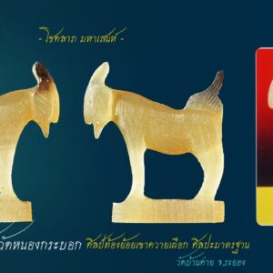 แพะมหาลาภ หลวงพ่อลัด วัดหนองกระบอก