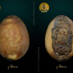 เบี้ยแก้หลวงพ่อคำ วัดโพธิ์ปล้ำ อำเภอวิเศษชัยชาญ จังหวัดอ่างทองในยุคแรกๆ หลวงพ่อท่านจะซื้อตัวหอยเบี้ยมาจากร้านขายยา แต่หลังจากปี พ.ศ. 2493 เบี้ยแก้ของท่านเป็นที่นิยมกันมาก ต้องไปหาซื้อมาจากจังหวัดชายทะเล ส่วนชันโรงได้มาจากจอมปลวกในป่า ในตอนหลังๆ มีไม่พอใช้ท่านจึงเปลี่ยนมาใช้ชันยาเรือแทน เบี้ยแก้ของหลวงพ่อคำนับว่าแปลกจากเบี้ยแก้อื่นๆ คือท่านจะเคี่ยวตะกั่วในกระทะให้ละลายแล้วนำตะกั่วที่หลอมละลายมาเทลงไปในกระบอกไม้ไผ่ ซึ่งตัดเป็นท่อนๆ แบบกระบอกข้าวหลาม จากนั้นจึงนำผ้ามาปิดปากกระบอกแล้วเขย่าโดยเร็ว ให้ตะกั่วแตกตัวเป็นเม็ดกลมๆ เล็กๆ เพื่อนำไปเลี้ยงเป็นอาหารของปรอท จึงทำให้เป็นลักษณะพิเศษของเสียงปรอท เวลาเขย่าจะมีดังแซ็กๆ คล้ายเสียงของเม็ดทราย แต่ไม่ใช่ทรายอย่างที่หลายคนเข้าใจ หลังจากนั้นหลวงพ่อจะใช้วิธีเรียกปรอทบรรจุลงในตัวเบี้ยด้วยการบริกรรมคาถา โดยนำเบี้ยวางลงบนถาดแล้วเอาหญ้าคาพาดปรอทจากนั้นจึงบริกรรมคาถาไปเรื่อยๆ จนปรอทวิ่งเข้าไปในตัวเบี้ยทั้งหมด เคยมีลูกศิษย์ของท่านได้แอบดูตอนปรอทวิ่งเข้าตัวเบี้ย จะเห็นมีแสงสว่างเหมือนแสงนีออน หลังจากนั้นจึงอุดใต้ท้องเบี้ยด้วยชันโรง และปิดแผ่นทองแดงที่จารอักขระปิดทับลงไป เบี้ยของหลวงพ่อคำจะมีแผ่นทองแดงให้เห็นทุกตัว จากนั้นหลวงพ่อจึงนำเบี้ยไปปลุกเสกในกุฏิด้วยตัวท่านเองทุกครั้ง ชันที่ปิดใต้ท้องเบี้ยมีอยู่ด้วยกัน 3 แบบ คือ ชันโรงยุคแรก ชันยาเรือ และชันยาเรือผสมผงอิทธิเจ ซึ่งอย่างหลังนี้พบน้อยมาก ในสมัยที่หลวงพ่อคำยังมีชีวิตอยู่นั้นท่านได้สร้างวัตถุมงคลไว้หลายอย่างด้วยกัน เช่น สมเด็จหู เหรียญทำบุญอายุครบ 60 ปี สมเด็จปรกโพธิ์เก้าชั้น พระเนื้อว่านหลายพิมพ์ ผ้ายันต์ ตะกรุด รูปถ่าย และเบี้ยแก้ แต่ที่มีชื่อเสียงมากที่สุดก็เห็นจะเป็นเบี้ยแก้นี่แหละพระครูวิตถารสมณกิจ (คำ ปัญญาสาโร) วัดโพธิ์ปล้ำ อำเภอวิเศษชัยชาญ จังหวัดอ่างทอง ท่านเกิดในปี พ.ศ. 2432 นับว่าท่านอาวุโสน้อยที่สุดในพระเกจิอาจารย์ที่สร้างเบี้ยแก้ หลวงพ่อคำท่านมรณภาพเมื่อวันที่ 25 มิถุนายน พ.ศ. 2503 สิริอายุได้ 72 ปี พรรษาที่ 52 เบี้ยแก้หลวงพ่อคำ วัดโพธิ์ปล้ำ จ.อ่างทอง ถูกจัดอันดับให้อยู่1ใน5เบญจภาคีเบี้ยแก้ของเมืองไทยอันประกอบไปด้วย 1.เบี้ยแก้หลวงปู่รอด วัดนายโรง กทม 2.เบี้ยแก้หลวงปู่บุญ วัดกลางบางแก้ว จ.นครปฐม หรือ (เบี้ยแก้หลวงปู่เพิ่ม วัดกลางบางแก้ว จ.นครปฐม) 3.เบี้ยแก้หลวงพ่อนุ่ม วัดนางใน จ.อ่างทอง 4.เบี้ยแก้หลวงพ่อภักตร์ วัดโบสถ์ จ.อ่างทอง 5.เบี้ยแก้หลวงพ่อคำ วัดโพธิ์ปล้ำ จ.อ่างทอง คุณประโยขน์ของเบี้ยแก้ สิ่งที่กระทำร้ายมาจะกลับส่งผลไปในทางดี กัน-แก้สิ่งอัปมงคลกระทำย้ำยี เรียกขวัญให้กลับมาทั้งหนุนดวงและโชคลาภ เบี้ยแก้หลวงพ่อคำสภาพเดิมที่ท่านสร้างคือสภาพเปลือยแต่ก็มีผู้ที่ได้มานำไปเลี่ยม เงิน นาค และทอง ส่วนร้านก็อยู่ในตลาดวิเศษ ร้านที่เลี่ยม มักตอกชื่อร้านไว้ด้านหลัง เช่น ร้านหมง ร้านตมข หรือร้านต้นมะขาม และที่ไม่ตอกแบบตัวที่แสดงนี้ก็มี (ส่วนใหญ่เก๊ตอกหมงจะเยอะ ต้องแกะออกมาดู เพราะเลี่ยมเงินหุ้มไม่เห็นชันโรง)