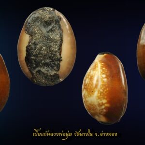 เบี้ยแก้ หลวงพ่อนุ่ม วัดนางในธัมมิการามอำเภอวิเศษชัยชาญ จังหวัดอ่างทอง