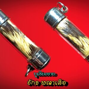 ตะกรุดหนังเสือ หลวงปู่ผาด วัดบ้านกรวด ออกวัดปราสาททอง 2 นิ้ว(5เซนติเมตร)