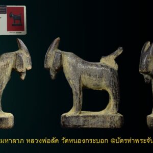 แพะมหาลาภ หลวงพ่อลัด วัดหนองกระบอก @บัตรท่าพระจันทร์ ศิลปะมาตรฐานแพะ เขาแกะ 1.5 เซนฯ เนื้อเขาควายเผือก พร้อมบัตรรับรองบจก.นิตยสารพระท่าพระจันทร์ ตัวจริงเสียงจริง ชัดเจนมาตรฐานสากล น่าใช้บูชาติดตัวมากๆครับ หลวงพ่อลัด วัดหนองกะบอก หรือพระครูวิจิตรธรรมานุวัต (หลวงปู่ลัด)นอกจากท่านจะเป็นศิษย์เอก หรือศิษย์ทายาทของ หลวงพ่อวงศ์ วัดบ้านค่าย และหลวงพ่ออ่ำ เรือเก่า สองพระเกจิอาจารย์ผู้ยิ่งยงของภาคตะวันออกแล้ว ท่านยังได้รับการถ่ายทอดวิชาจากหลวงพ่ออี๋ วัดสัตหีบ ปรมาจารย์ผู้มีชื่อเสียงโด่งดังแห่งภาคตะวันออกอีกด้วย นับได้ว่า หลวงพ่อลัด ท่านเป็นศิษย์ของ 3 พระเกจิอาจารย์ชื่อดังในยุคสมัยนั้น หาเกจิอาจารย์ได้น้อยรูปนักที่จักได้เป็น แบบท่าน หลวงพ่อลัด ท่านเป็นลูกศิษย์ของ 3 พระเกจิอาจารย์ชื่อดังแห่งภาคตะวันออกคือหลวงพ่อวงศ์ วัดบ้านค่าย หลวงพ่ออ่ำ วัดหนองกะบอก และ หลวงพ่ออี๋ วัดสัตหีบ พระครูวิจิตรธรรมานุวัติ( หลวงพ่อลัด ) ผู้เป็นทั้งศิษย์ทายาทธรรม และศิษย์ที่สืบทอดทั้งวิทยาอาคมและสืบสายสมณศักดิ์ที่ พระครูวิจิตรธรรมานุวัติ ตำแหน่งเจ้าคณะอำเภอบ้านค่ายของ หลวงพ่อวงศ์ วัดบ้านค่าย จ.ระยอง ได้ยอมเปิดเผยให้เป็นที่รู้จักในบั้นปลายของชีวิตท่านว่า อำเภอบ้านค่ายนั้น ไม่เคยขาดสายพระอาจารย์ที่เรืองวิทยาคมเลย เมื่อปี พ.ศ. 2481 วัดราชบพิตรฯ ได้จัดพิธีพุทธาภิเษกครั้งยิ่งใหญ่ที่สุดในรอบ 150 ปีขึ้น พระคณาจารย์ที่ได้รับนิมนต์มาร่วมนั่งปรกปลุกเสกในพิธีนั้น จะต้องเป็นผู้แก่กล้าวิชาอาคมอย่างแท้จริง อำเภออื่นๆ หรือจังหวัดอื่นๆ จะนิมนต์ไปเพียงองค์เดียวเท่านั้น แต่เฉพาะที่อำเภอบ้านค่ายได้รับนิมนต์ไปร่วมในพิธีถึง 2 องค์ คือ หลวงพ่อวงศ์ วัดบ้านค่าย กับ หลวงพ่ออ่ำ วัดหนองกระบอก และทั้ง 2 ท่านนี้คือ พระอาจารย์ของ หลวงพ่อลัด ยิ่งไปกว่านั้น หลวงพ่ออี๋ วัดสัตหีบ พระอาจารย์ชื่อดังของเมืองชลบุรีและได้รับกิจนิมนต์ไปในพิธีวัดราชบพิตรฯ ด้วยเช่นกัน ก็เป็นพระอาจารย์ของ หลวงพ่อลัด อีกท่านหนึ่ง ที่ได้ถ่ายทอดวิชา ตะกรุดหนังกลองแตก ให้กับหลวงพ่อลัดด้วย หลวงพ่อลัด จึงเป็นศิษย์ของพระอาจารย์ชื่อดังระดับประเทศถึง 3 ท่านด้วยกันดังกล่าว ได้รับการถ่ายทอดวิชาอาคมจากพระอาจารย์ทั้ง 3 ท่านอย่างมากมาย นับเป็นศิษย์ผู้มีความรู้แตกฉานในวิชาอาคมต่างๆ อย่างแท้จริง หลวงพ่อลัด มีตำแหน่งเป็นเจ้าคณะอำเภอบ้านค่าย และมีวัดที่อยู่ในการปกครองดูแลถึง 40 วัด ท่านจึงมุ่งงานด้านบริหารศาสนกิจเป็นส่วนใหญ่ ขณะเดียวกันก็ได้ส่งเสริมญาติโยมทางด้านวิปัสสนากัมมัฏฐานไปด้วย...แต่ในด้านวัตถุมงคล ได้มีผู้ขอร้องให้ท่านสร้างไว้เป็นที่ระลึกบ้าง แต่ท่านก็เฉยเสีย คงสร้าง แพะ ซึ่งเป็นเครื่องรางของขลังชนิดหนึ่ง อันสำคัญของวัดหนองกระบอก ที่ได้มีการสร้างกันมาตลอด โดยสร้างในพรรษา ครั้งละไม่กี่ตัว หลวงพ่อลัด เป็นชาวบ้านค่ายโดยกำเนิด เกิดเมื่อวันจันทร์ ปีขาล พ.ศ. 2445 เมื่ออายุครบเกณฑ์ทหารแล้ว ก็ได้เข้ารับใช้ชาติ เป็นทหารเรืออยู่ 2 ปี ออกจากราชการทหารแล้วก็ได้อปสมบท เมื่ออายุได้ 23 ปี ณ วัดบ้านค่าย โดยมี หลวงพ่อวงศ์ เป็นพระอุปัชฌาย์ ได้รับฉายาว่า กิตติสาโร เมื่อบวชแล้วก็ได้ศึกษาธรรมมะและวิชาอาคมต่างๆ จากหลวงพ่อวงศ์ และหลวงพ่อวงศ์ก็ได้ให้ พระรัตน์ ไป ฝึกกสิณธาตุกับ หลวงพ่ออ่ำ วัดหนองกระบอก อันเป็นวัดที่อยู่ใกล้กัน หลวงพ่ออ่ำเป็นศิษย์ผู้น้องของหลวงพ่อวงศ์ หลวงพ่ออ่ำ ได้ให้หลวงพ่อลัด ฝึกเพ่งกสิณ ด้วยอุบายอันแยบยล ทำให้หลวงพ่อลัด ฝึกเพ่งกสิณได้สำเร็จ ด้วยการให้อ่านหนังสือในห้องมืด โดยใช้แสงสว่างจากใจที่เกิดจากดวงกสิณธาตุ เป็นเครื่องส่องนำ นอกจากนี้หลวงพ่ออ่ำ ยังได้ถ่ายทอดวิชาการสร้างและปลุกเสก แพะ อันเป็นเครื่องรางของขลัง อันสำคัญประจำวัดหนองกระบอก ให้หลวงพ่อลัดด้วย ในขณะที่ คาถานี้ได้มาจาก ลุงเนตร ลูกศิษย์หลวงพ่อลัด ครับ เอามาแบ่งปันให้สมาชิกในกลุ่มลองเอาไปใช้กันครับ ตั้งนะโม 3 จบ แล้วสวดชุมนุม เทวดา แล้วว่า อัคคี อุมะมิ เนตวา โอโล เกติ มิมา มะมะมิ อิมามะมะมา เอหิ อิตถี เอหิ มหาลาภัง เมตตาจิตตัง อรหัง มะมิ ปลุกเสกแพะตามกำลังวันครับ ทำประจำๆแพะของท่านจจะเข้มขลังมากครับ