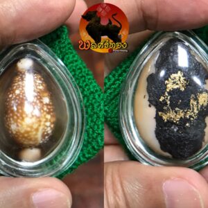 เบี้ยแก้ หลวงพ่อนุ่ม วัดนางใน เลี่ยมเงิน เบี้ยแก้ สายอ่างทอง เบี้ยแก้ของหลวงพ่อนุ่ม วัดนางใน อำเภอวิเศษชัยชาญ จังหวัดอ่างทอง หลวงพ่อนุ่ม ท่านเป็นพระเกจิอาจารย์ที่มีชื่อเสียงโด่งดังของจังหวัดอ่างทอง เบี้ยแก้หลวงพ่อนุ่ม วัดนางใน จังหวัดอ่างทอง เลี่ยมเก่าๆ มันส์ๆ เดิมๆ ดูง่ายๆ สวยสมบูรณ์มาก วางแปะด้วยชันโรงใต้ดินเกือบเต็มท้องเบี้ย เขย่าดังขลุกๆ เสียงปรอทดังฟังชัดเจน ตามสูตร จบครับ ท่านเป็นอีกหนึ่งพระคณาจารย์ดังของ จ.อ่างทอง ควบคู่ไปกับหลวงพ่อภักตร์ วัดโบสถ์ และหลวงพ่อคำ วัดโพธิ์ปล้ำ วัตถุมงคลที่สร้างและปลุกเสกเอาไว้ มีมากมายหลายชนิด แต่ที่รับความนิยมสูงพร้อมทั้งมากล้นประสบการณ์ก็คงหนีไม่พ้น เบี้ยแก้ของท่าน ท่านได้ศึกษาพระเวทย์วิทยาคมพร้อมทั้งสรรพวิชาต่างๆ กับพระอธิการพ่วง ต่อมามาศึกษากับพระครูธรรมสารรักษา(อ้น) วัดบุปผาราม พระอุปัชฌาย์ซึ่งมีชื่อเสียงใน จ.สุพรรณบุรีในสมัยนั้น และท่านได้ศึกษาด้วยตนเองจากตำราโบราณต่างๆอย่างเชี่ยวชาญ ตลอดจนท่านยังเป็นสหธรรมิกกับ หลวงพ่อเดิม วัดหนองโพธิ์ อีกทั้งยังแลกเปลี่ยนวิชากับอีกหลายพระคณาจารย์ ไม่ว่าจะเป็น หลวงพ่อภักตร์ วัดโบสถ์ หลวงพ่อคำ วัดโพธิ์ปล้ำ จะไปมาหาสู่กันอยู่เสมอๆซึ่งจะเห็นว่าเบี้ยแก้ของท่านทั้งสามสำนักจะมีลักษณะใกล้เคียงกันมาก แต่ถ้าพบเห็นบ่อยๆเคยสัมผัส และมีความรู้ ความชำนาญอยู่บ้างก็จะเป็นเรื่องง่ายในการพิจารณาแบ่งแยกลักษณะเบี้ยแก้ของแต่ละสำนัก เพราะลึกๆแล้วอย่างไรก็ตาม เบี้ยแก้ของแต่ละที่ แต่ละสำนักก็จะมีวิถี มีเอกลักษณ์ที่แตกต่างกันนั่นเอง. ••••• เบี้ยแก้ของพ่อนุ่ม วัดนางใน และการสร้างวัตถุมงคลประเภทเบี้ยแก้ของท่านนั้น เริ่มสร้างมาตั้งแต่ปีพ.ศ.ใดนั้นไม่ได้มีการจดบันทึกไว้ แต่จากการคาดคะเน หลวงพ่อนุ่ม ได้รับอาราธนามาดำรงค์ตำแหน่งเจ้าอาวาสที่วัดนางในธัมมิการาม นำโดยนายเผ่า ชัชวาลยางกูร คณบดี และเป็นเจ้าของตลาดสดในอำเภอวิเศษชัยชาญ ตรงกับปี พ.ศ.๒๔๖๙ ได้รับแต่งตั้งเป็นเจ้าคณะตำบลเมื่อปี พ.ศ.๒๔๗๓ และได้เป็นพระอุปัชฌาย์ในปี พ.ศ.๒๔๗๗ จึงมีการคาดกันว่าหลวงพ่อนุ่ม ท่านน่าจะเริ่มสร้างเบี้ยแก้ ให้แก่ญาติโยม เป็นการเฉลิมฉลอง ไม่ปีใดก็ปีหนึ่งในปีนั้นๆที่เอ่ยมา และเท่าที่พบเห็นเล่นหาเป็นสากลเบี้ยของท่านจะเป็นเบี้ยเปลือยไม่มีการถักเชือกแต่อย่างใด ส่วนการเลี่ยมจับขอบไม่ว่าจะด้วยเนื้อทองคำ เงิน นาค นั้น แล้วแต่ลูกศิษย์ที่ได้รับจะนำไปเลี่ยมกันเองไม่ได้เลี่ยมจากทางวัดอย่างที่บางท่านเข้าใจกันซึ่งร้านที่มักนิยมนำเบี้ยไปเลี่ยมกันนั้นก็เป็นร้านเดียวกันกับลูกศิษย์ของหลวงพ่อภักตร์ วัดโบสถ์ และหลวงพ่อคำ วัดโพธิ์ปล้ำ นำไปเลี่ยมกันเป็นร้านทองในตลาดวิเศษชัยชาญ ฉะนั้นลักษณะการเลี่ยมเบี้ยแก้ของทั้งสามสำนักนี้จึงมีลักษณะคล้ายกัน เพราะเลี่ยมร้านเดียวกันนั่นเอง จึงเป็นเรื่องยุ่งยากพอสมควรในการจะแบ่งแยก และพิจารณาสำหรับท่านที่ไม่มีความชำนาญ แต่มักมีข้อเปรียบเทียบง่ายๆ อยู่ว่าเบี้ยแก้ของหลวงพ่อภักตร์ วัดโบสถ์มักจะตัวใหญ่กว่าของหลวงปู่คำ วัดโพธิ์ปล้ำ และหลวงพ่อนุ่น วัดนางใน แต่ก็ใช่ว่าจะทุกลูกเสมอไป “เมื่อเราคิดถึงท่าน ท่านก็จะมาอยู่ในใจเรา เมื่อใดที่เรามีทุกข์ร้อนใจ เพียงระลึกถึงคำสอนของท่าน ท่านก็จะมาอยู่ข้างเรา…..” พลศรีทอง พระเครื่อง โดย บู เชียงราย ราคา คือ สิ่งที่คุณจ่ายไป ….คุณค่า คือสิ่งที่คุณได้รับ web (main) พระเครื่อง : บู เชียงราย ร้านพลศรีทอง พระเครื่อง Web ( มุมพระ) : มุมพระ https://www.mumpra.com/shop.php?shopid=507 Facebook : https://www.facebook.com/ponsrithong/ IG : https://www.instagram.com/bu_chiangrai.amulet/ This amulet get a lifelong warranty. If you are audited there was spurious. My shop (Ponsrithong Amulet) Refund the full amount lifelong. And in the future if you want to sell amulet with the warranty card. The Center amulet welcomes to buy in the market price of 20%. by bule chiangrai +66877124640 https://ponsrithong.com/