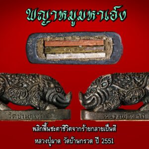 พุทธคุณพญาหมูมหาเฮง พลิกฟื้นชะตาชีวิตจากร้ายกลายเป็นดี หลวงพ่อผาด วัดบ้านกรวด บุรีรัมย์