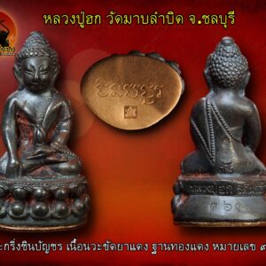 หลวงปู่ฮก รตินฺธโร ราษฎร์เรืองสุข หรือวัดมาบลำบิด ต.คลองกิ่ว อ.บ้านบึง จ.ชลบุรี เป็นพระบริสุทธิสงฆ์ผู้มีเมตตาบารมีแก่ชาวบ้านที่เดินทางไปกราบไหว้ขอพร ประพฤติปฏิบัติแต่สิ่งที่ดีงามเป็นผู้เผยแผ่พระพุทธศาสนา เป็นตัวอย่างที่ดีงาม เป็นที่น่าเคารพกราบไหว้อย่างยิ่ง เริ่มตั้งแต่ที่ท่านอุปสมบทก็ได้มุ่งมั่นในทางธรรม ฝึกฝนปฏิบัติฝึกจิต เพื่อหวังความหลุดพ้น เมื่อท่านบวชได้ ๑๐ กว่าพรรษา หลวงปู่ฮก ได้รับมอบหมายจากพระครูโสรัจธรรมคุณ เจ้าอาวาสวัดบึงบน เจ้าคณะตำบลคลองกิ่ว สมัยนั้น (ปัจจุบันเป็นรองเจ้าคณะอำเภอบ้านบึง) ให้มาจำพรรษาที่วัดราษฎร์เรืองสุข (มาบลำบิด) เนื่องจากขาดผู้ปกครองวัด ท่านจึงมาจำพรรษาที่วัดบลำบิด ตั้งแต่นั้นเป็นต้นมา แต่ท่านไม่ยอมรับตำแหน่งเจ้าอาวาส เพียงเข้ามาดูแลวัดในฐานะผู้ช่วยเท่านั้น สำหรับวัตรปฏิบัติของหลวงปู่เป็นไปอย่างเรียบง่าย สมถะ รักสันโดษ ท่านจะวางตัวเป็นพระผู้ใหญ่ที่มีเมตตาต่อพระภิกษุสามเณร ลูกวัดทั่วไป ทุกวัน หลังจากตื่นตอนเช้าท่านจะออกบิณฑบาต ก่อนกลับมาทำความสะอาด กวาดใบไม้หน้าโบสถ์หลังเก่า เมื่อกวาดเสร็จก็จะไปให้อาหารแมว ที่เมตตาเลี้ยงไว้ที่บนกุฏิ และฉันเช้ารอรับลูกศิษย์ลูกหาที่แวะเวียนเข้ามากราบไหว้ ด้วยท่านไม่รับกิจนิมนต์ข้างนอก เนื่องจากสภาพสังขารที่ร่วงโรยไปตามกาลเวลา หลวงปู่ฮก เป็นพระบริสุทธิสงฆ์ที่ไม่เคยพูดโอ้อวดถึงความเก่งกล้าสามารถของท่านให้ลูกศิษย์ หรือใครๆ ฟังเมื่อมีใครถามท่านถึงอิทธิปาฏิหาริย์ต่างๆ ที่หลายคนเจอมากับวัตถุมงคลของท่าน ท่านก็จะตอบว่ามันเป็นอย่างนั้นอย่างนี้ของมันเอง โดยล่าสุด หลวงปู่ฮก เมตตาอนุญาตให้จัดสร้างพระกริ่งชินบัญชร และเหรียญไข่เจริญพร ชินบัญชร วัตถุประสงค์เพื่อหาปัจจัยสมทบทุนก่อสร้างศาลาจุลบัณฑิต วัดป่าสามัคคีธรรมาวาส (เขาพระ) ต.ตะเคียนเตี้ย อ.บางละมุง จ.ชลบุรี ส่วนพิธีปลุกเสกนั้น วาระแรกปลุกเสกหลวงปู่ฮก ปลุกเสกเดี่ยวที่วัดมาบลำบิด เมื่อวันที่ ๑๔ กันยายน ๒๕๘ วาระที่ ๒ ปลุกเสกเมื่อวันที่ ๓ ตุลาคม ๒๕๕๘ ที่วัดป่าสามัคคีธรรมมาวาส (เขาพระ) มีพระเกจิอาจารย์ร่วมปลุกเสก ดังนี้ ๑.หลวงปู่ฮก วัดมาบลำบิด ๒.พระครูปัญญา (เจ้าอาวาสวัดเขาพระ) ๓.หลวงพ่อลุ้ย วัดหนองขาม ๔.หลวงปู่บุญมา วัดบ้านแก่ง ๕.หลวงพ่ออุ่นใจ วัดถนนโค้ง ๖.หลวงปู่หุน วัดบางผึ้ง ๗.หลวงพ่อสมเกียรติ วัดชุมแสง และ ๘.หลวงพ่อส่วน วัดหนองคล้า โดยได้รับเกียรติจากนายสันตศักย์ จรูญ งามพิเชษฐ์ สมาชิกสภาผู้แทนราษฎรแบบบัญชีรายชื่อ สังกัดพรรคพลังชล-อดีตรัฐมนตรีช่วยว่าการกระทรวงสาธารณสุข -อดีตสมาชิกวุ