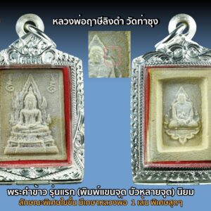 พระคำข้าว รุ่น1 หลวงพ่อฤาษีลิงดำ วัดท่าซุง อุทัยธานี พิมพ์แขนจุดบัวหลายจุด ลักษณะพิเศษใยขึ้น และมีเกศาหลวงพ่อ (พิมพ์นิยมสุด) องค์ที่ 8