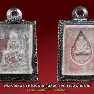 พระหางหมาก หลวงพ่อฤาษีลิงดำ ลักษณะพิเศษ ใยขึ้นเต็ม หลังคมชัด องค์ที่ 25