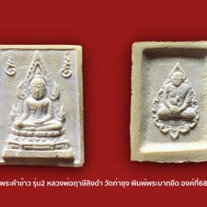 พระคำข้าว รุ่น2 หลวงพ่อฤาษีลิงดำ วัดท่าซุง พิมพ์พระบาทขีด องค์ที่68