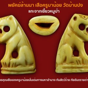 พยัคฆ์ล้านนา เสือ เขี้ยวแกะ ครูบาน้อย ชยวังโส วัดบ้านปง เชียงใหม่ พิเศษจารเต็ม