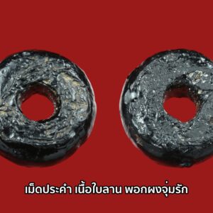 เม็ดปะคำเก่า เนื้อผงใบลานจุ่มรัก (ไม่ระบุสำนัก) เก่าแท้