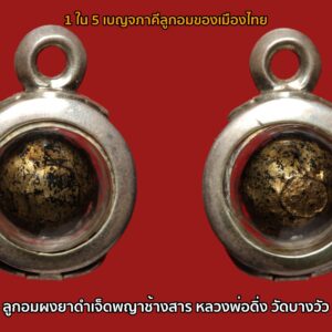 1 ใน 5 เบญจภาคีลูกอมของเมืองไทย ลูกอมผงยาดำ หลวงพ่อดิ่งวัดบางวัว ทางจียังไม่รับออกบัตร รับประกันตามกฎ ลูกอมผงยาดำเจ็ดพญาช้างสารของหลวงพ่อดิ่ง วัดบางวัว จ.ฉะเชิงเทรา หลวงพ่อดิ่งท่านสร้างลูกอมจาก ไคลพระเจดีย์๗วัด ไคลพระอุโบสถ๗วัด ไคลเสมาอีก๗วัด ผสมด้วยผงอิทธิเจและผงมหาราช แล้วนำมาคลุกเคล้าปั้นเป็นลูกอมลูกเล็กๆ ขนาดประมาณ1ซม เมื่อลูกอมแห้งแล้วจะนำมาลงด้วยรักและปิดทองทุกเม็ด จากนั้นท่านหลวงพ่อดิ่ง ก็จะนำมาปลุกเสกจนมั่นใจแล้ว ท่านหลวงพ่อดิ่งจะนำลูกอมผงยาดำเจ็ดพญาช้างสาร ของท่านออกแจกในงานวัด หรือ งานบุญฉลองอายุของท่าน เป็นลูกอมที่กล่าวขานกันในตำนานของเสือขาว ศิษย์ของท่านหลวงพ่อดิ่ง วัดบางวัว ผู้อยู่ยงคงกระพันด้วยมีลูกอมลูกอมผงยาดำเจ็ดพญาช้างสารของท่านหลวงพ่อดิ่ง ลูกอมผงยาดำนี้ มีชื่อเรียกอีกชื่อว่า ลูกอมเจ็ดพญาช้างสาร ด้วยกล่าวกันว่า ผู้ใดมีลูกอมนี้ไว้ติดตัว จะมีพละกำลัง ดุจพญาช้างสาร คุ้มครองป้องกันภัยต่างๆและยังอยู่ยงคงกระพันยามเมื่อมีภัยมาถึงตัวได้อย่างชะงัดนักแล ลูกอมหลวงพ่อดิ่งมีคุณวิเศษในด้านคงกระพันชาตรีเป็นอย่างมาก ว่ากันว่าสมัยก่อนคนแถบวัดได้นำมาทดลองโดยนำมาใส่ไว้ในปากปลาช่อนแล้วทดลองฟันดู ปรากฏว่าฟันไม่เข้าคมมีดเด้งออกเหมือนกับเอามีดไปฟันยางรถยนต์ยังไงยังงั้น ยิ่งเรื่องกันปืนผาหน้าไม้ด้วยแล้วนับได้ว่าไม่ธรรมดา ปัจจุบันหาของแท้ๆได้ยากมากๆใครมีติดตัวรับรองไม่ตายโหงแน่นอน