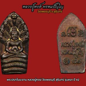 พระนาคปรก 9 เศียรใบมะขาม ของ หลวงปู่หงษ์ พรหมปัญโญ ปี 42 ออกที่สุสานทุ่งมน อ.ปราสาท จ.สุรินทร์ เนื้อทองแดง