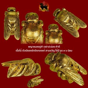 แมงภู่คำ สล่าปะอ่อง คำดี เนื้อไม้ ตัวเมียลงรักปิดทองแท้ สามขวัญ ใต้ปี จุด ๓ ๖ นิยม