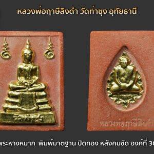 พระหางหมาก หลวงพ่อฤาษีลิงดำ พิมพ์มาตฐาน ปิดทองเล่งลาภ หลังคมชัด องค์ที่ 30