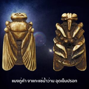 แมลงภู่คำพม่า เนื้อ งาแกะ อุดปรอทเก่าจิ๊ด ศิลปะมาตรฐานนิยมมาแต่กาลก่อน  ขาฉลุทนิยม 