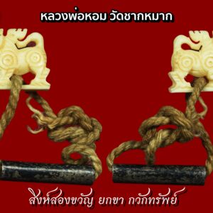 สิงห์สาริกา งาแกะ หลวงพ่อหอม วัดชากหมาก ขนาด 10 มิล มาตฐานนิยม สิงห์ของท่านมีหลายขนาด ตั้งแต่เล็กจิ๋ว เรียกว่าสิงห์สาริกา ไปจนถึงขนาดใหญ่ แกะลวดลายสวยงาม มีทั้งแบบทรงเครื่อง และไม่ทรงเครื่อง บางองค์จะฝังเม็ดพลอยโดยส่วนใหญ่จะเป็นพลอยสีแดงไว้ที่เม็ดตาด้วย ที่แกะเป็นคชสีห์สวยงามก็มีส่วนใหญ่ศิลป์ทรงเครื่องจะมีขนาดค่อนข้างใหญ่ สิงห์ขนาดทั่วไปก็จะแกะ เป็นรูปสิงห์สวยงาม สิงห์งาแกะหลวงพ่อหอมส่วนใหญ่ให้สังเกตที่ขวัญของสิงห์จะมีลักษณะเป็นรอยวงกลมคล้ายรอยกลึง ซ้อนกัน2ชั้นบ้าง 3ชั้นบ้าง ตามขนาดความใหญ่และพื้นที่ของตัวสิงห์ เป็นเอกลักษณ์สำคัญที่บ่งบอกว่าเป็นสิงห์ของท่าน จากนั้น พิจารณาในส่วนของพิมพ์ของสิงห์ในศิลป์นั้นให้ดี และ ร่องรอยการแกะด้วยมีดและสิ่วที่แกะจากมือด้วยความปราณีตอ่อนช้อย สภาพก็จะแตกต่างกันออกไปตามการเวลาและการเก็บรักษา หากตัวไหนมีการใช้งานผิวก็จะฉ่ำจัด จากนั้นจึงค่อยพิจาณาเรื่องความแห้งของงา และร่องรอยการใช้งานหรือการเก็บรักษา หากสิงห์งาตัวที่มีการใช้งาน ผิวจะฉ่ำจัด สีสรรจะมีความเหลืองจนถึงเหลืองเข้ม และอาจมีร่องรอยการลั่นรานที่เนื้องาเป็นริ้วเล็กๆตามตัวงาอีกด้วย เป็นลักษณะสำคัญในการดูความเก่าของงาได้เป็นอย่างดี สิงห์หลวงพ่อหอมมีหลายศิลปะแบ่งแยกได้ดังนี้ 1. คชสีห์ทรงเครื่องติดปีกตาฝังพลอย 2. คชสีห์ทรงเครื่องตาฝังพลอย 3. สิงห์ทรงเครื่องติดปีกตาฝังพลอย (คาบแก้ว, ไม่คาบแก้ว) 4. สิงห์ทรงเครื่องตาฝังพลอย (ยกขา, ไม่ยกขา) 5. สิงห์มหาดไทยตาฝังพลอย (ยกขา, ไม่ยกขา, ขวัญกลม, ขวัญเลขหนึ่งไทย) 6. สิงห์มหาดไทยตาไม่ฝังพลอย (ยกขา, ไม่ยกขา, สองขวัญ, สามขวัญ, ขวัญกลม, ขวัญเลขหนึ่งไทย) 7.สิงห์คอไก่สองขวัญ 8. สิงห์ตัวเล็กศิลปพิเศษ (ในกรอบต่างๆ, หมอบก้ม,ในมิติชิ้นงาต่างๆ, อื่นๆ) 9. สิงห์ตัวเล็กตาไม่ฝังพลอยปากนกแก้ว (สองขวัญ, สามขวัญ) 10. สิงห์สาริกาปากนกแก้ว (สองขวัญ, สามขวัญ) 11. สิงห์จิ๋วไซส์เล็กเลี่ยมเดิมจากโรงงาน (กรอบพลาสติกหน้าเลนส์หนา, กระเช้าปิเนียม) วิทยาเวทย์ที่เป็นคุณวิเศษของหลวงพ่อหอมวัดซากหมากอีกประการหนึ่งที่ยังไม่เคยมีผู้ใดเคยได้เรียนรู้มาก่อนคือ”การต่อชะตาดิน” ซึ่งคุณวิเศษนี้ก็เป็นที่เลื่องลือในความศักดิ์สิทธิ์ของท่านอย่างมากทีเดียว คือ หากที่ดินของผู้ใดที่เคยอยู่อาศัยหรือใช้ประกอบกิจการใดๆ มาก่อน เกิดอาการเสื่อมโทรมใช้ประโยชน์ไม่ได้ดีเหมือนเดิม หรือกิจการบนดินนั้นเสื่อมโทรมลง หลวงพ่อก็จะไปทำพิธี ”ฝังหิน” ให้ แล้วกิจการบนที่ดินแห่งนั้นก็จะกลับคืนเป็นคุณแก่เจ้าของดั่งเดิมอย่างน่าอัศจรรย์ยิ่งนัก ซึ่งวิชาต่อชะตาดินนี้ได้เคยมีบรรดาศิษย์อยากจะเรียนจากหลวงพ่อ แต่หลวงพ่อก็บอกว่าผู้ที่จะเรียนได้จะต้องเป็นพระภิกษุเท่านั้น และเมื่อเรียนแล้วก็จะต้องตั้งมโนปนิธาณด้วยว่า “จะบวชจนตายในผ้ากาสาวพัตร์” คือจะสึกออกไปครองเพศฆราวาสไม่ได้อย่างเด็ดขาด ถ้าผิดไปจากนี้แล้วจะต้องถูก”ฟ้าผ่า”ทันที จึงไม่มีใครกล้าพอที่จะเรียนต่อจากท่าน เพราะการบวชเป็นพระภิกษุในพระพุทธศาสนานี้ ไม่ใช่เป็นของง่ายนักที่จะประกาศตนว่าจะไม่สึกไว้ล่วงหน้า นอกจากหลวงพ่อหอม วัดชากหมากจะเป็นผู้มีวิทยาคุณในทางเครื่องรางของขลังแล้ว ท่านยังเป็นผู้เชี่ยวชาญในทางรักษาโรคภัยไข้เจ็บนานาชนิดอีกด้วย ทั้งนี้เพราะท่านได้เคยศึกษาเล่าเรียนมาจากบิดาของท่านซึ่งเป็นแพทย์ประจำตำบล ในสมัยเมื่อท่านยังเป็นฆราวาสอยู่ ตามธรรมดาทุกๆ วันจะมีคนป่วยด้วยโรคต่างๆ มาหาท่านที่วัดเพื่อขอให้ท่านช่วยขจัดปัดเป่าโรคร้ายเหล่านั้นให้หาย วันหนึ่งๆ ถึง๔๐-๕๐ คน หลวงพ่อจึงเป็นพระภิกษุผู้ได้รับความเคารพนับถืออย่างสูง ทั้งที่เป็นคนไทย จีน แขกซิกส์ และฝรั่ง ดังจะเห็นได้จากเมื่อหลวงพ่อมรณภาพได้มีผู้หลั่งไหลกันไปเคารพศพของท่านอย่างล้นหลาม โดยเฉพาะในวันถวายน้ำสรงศพของท่าน เจ้าหน้าที่ได้จัดให้เรียงแถวกันเข้าไป ต้องใช้เวลาถึงสามชั่วโมงเศษจึงหมดคนที่ไปถวายน้ำสรงท่าน “เมื่อเราคิดถึงท่าน ท่านก็จะมาอยู่ในใจเรา เมื่อใดที่เรามีทุกข์ร้อนใจ เพียงระลึกถึงคำสอนของท่าน ท่านก็จะมาอยู่ข้างเรา…..” พลศรีทอง พระเครื่อง โดย บู เชียงราย . https://ponsrithong.com/ web (main) พระเครื่อง : บู เชียงราย ร้านพลศรีทอง พระเครื่อง Web ( มุมพระ) : มุมพระ https://www.mumpra.com/shop.php?shopid=507 web (99wat) : 99วัด http://www.ponsrithong.99wat.com/ web palana : พระล้านนา.คอม http://www.pralanna.com/ponsrithong Facebook เพจพลศรีทอง พระเครื่อง บู เชียงราย : https://www.facebook.com/ponsrithong/ IG :https://www.instagram.com/bu_chiangrai.amulet/