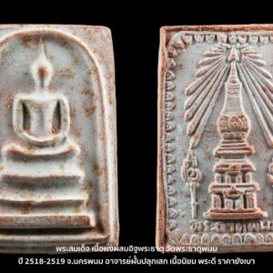 สมเด็จเนื้อผงผสมอิฐพระธาตุ วัดพระธาตุพนม ปี 19 สีชมพูนิยม