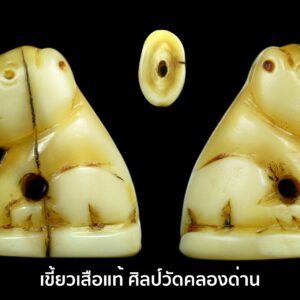 เขี้ยวเสือแท้ มีจารยันต์ศิลป์สวย ไม่ทราบเกิจิสร้าง พุทธคุณมีอยู่ในตัว