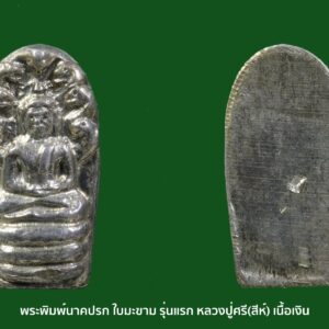 พระพิมพ์นาคปรกใบมะขาม หลวงปู่ศรี(สีห์) วัดสะแกอยุธยา เนื้อเงิน