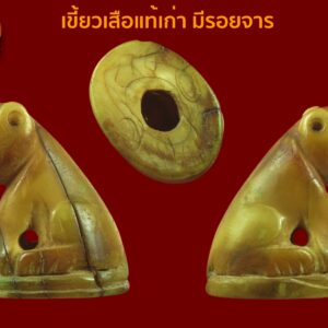 เขี้ยวเสือแท้ เก่ามาก ศิลป์หลวงพ่อปาน (วัดบางเหี้ย) วัดคลองด่าน จ.สมุทรปราการ