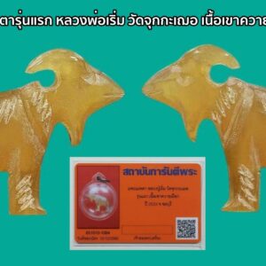 แพะเมตตา เขาควายฟ้าผ่า หลวงพ่อเริ่ม วัดจุกกะเฌอ จ.ชลบุรี ปี33 