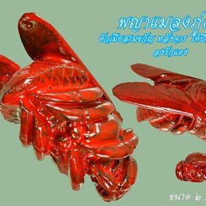 แมลงภู่คำ สล่าปะอ่อง คำดี ตัวเมีย สามขวัญ ใต้ปีก จุด ๓. ๖ จารยันต์บนหลัง ลงรักสีแดง ปี 2565