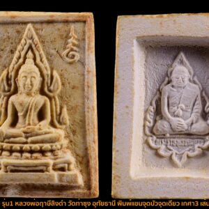 พระคำข้าว รุ่น1 หลวงพ่อฤาษีลิงดำ วัดท่าซุง อุทัยธานี พิมพ์แขนจุดเดียว องค์ที่ 16  เกศาหลวงพ่อ 3 เส้น