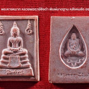 พระหางหมาก หลวงพ่อฤาษีลิงดำ พิมพ์มาตฐาน หลังคมชัด องค์ที่ 35