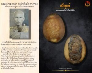 เบี้ยแก้ หลวงพ่อคำ วัดโพธิ์ปล้ำ อำเภอวิเศษชัยชาญ
