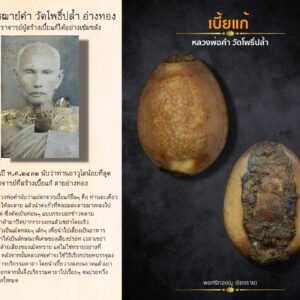 เบี้ยแก้ หลวงพ่อคำ วัดโพธิ์ปล้ำ อำเภอวิเศษชัยชาญ