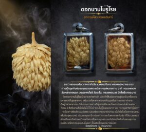 ตะกรุดดอกบานไม่รู้โรย อาจารย์ไสว พรหมอินทร์ กรุงเทพมหานคร