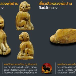 เขี้ยวเสือศิลป์วัดกลาง หลวงพ่อปาน (วัดบางเหี้ย)