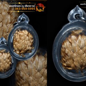 ตะกรุดประสบเนตร & ดอกบานไม่รู้โรย อาจารย์หม่อง บางระมาด