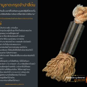 ตะกรุดจำปาสี่ต้น ครูบาวัง วัดบ้านเด่น จังหวัดตาก