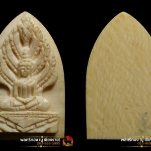 งาแกะ พระนาคปรก หลวงพ่อมุ่ย วัดดอนไร่ สุพรรรณบุรี