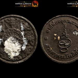 พระผงดวงตาพระโพธิสัตว์ รุ่นดวงตามหาแผ่นดิน ปี48 พิเศษมีรอยจารองค์พ่อ