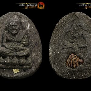 พระผงเนื้อว่าน หลวงปู่ทวด สร้างโดย หลวงปู่จำเนียร โชติธัมโม วัดต้นเลียบ อ.สทิงพระ จ.สงขลา พิมพ์จัมโบ้ ปี 39 ฝั่งตะกรุดทองคำ หลังฝังเม็ดต้นเลียบ