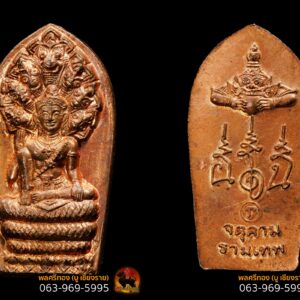 พระนาคปรกใบมะขาม องค์พ่อจตุคามรามเทพ ปี 2543 (ปรกเภตรา) เนื้อทองแดงผิวไฟ คอสามเส้นนิยม