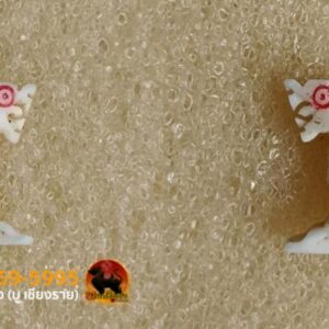 สิงห์สาริกา หลวงพ่อมุ่ย วัดดอนไร่ สุพรรณบุรี ศิลป์คอม้า ขวัญเลข ๑ แกะ ประวัติ ตามประวัติแล้วหลวงพ่อมุ่ยท่านเป็นพระเกจิอาจารย์อีกองค์ที่ไม่ธรรมดา และอาจารย์ของท่านก็ไม่ธรรมดาเช่นกันอย่างเช่น 1.หลวงปู่ศุข วัดปางคลองมาขามเฒ่า 2.หลวงพ่ออิ่ม วัดหัวเขา จ.สุพรรณบุรี และ อีกหลายท่านเพราะท่านประพฤติปฏิบัติตนแบบน้ำไม่เต็มแก้ว ชอบศึกษาหาความรู้อยู่เป็นนิตย์ท่านเป็นพระที่มีเมตตามาก #พระเครื่องและวัตถุมงคลของท่านมีความศักดิ์สิทธิ์และมีประสบการณ์แก่ผู้อาราธนาสวมใส่ สำหรับสิงห์งาแกะของท่านนั้นเป็นที่ล่ำลือกันว่าหลวงพ่อปลุกเสกจนสิงห์ทุกตัวมีจิตมีชีวิต สิงห์งาแกะที่ปลุกเสกในบาตรกระโจนกระโดดโลดเต้นดังลูกกบลูกเขียด เป็นสิงห์เมตตา มหาเสน่ห์ และเปี่ยมด้วยอำนาจบารมี แคล้วคลาดปลอดภัย น่าบูชาเป็นยิ่งนัก เครื่องรางของท่านมีไม่มากนักแต่ก็เป็นที่นิยมอย่างมากในหมู่ศิษย์สายสุพรรณ #ปัจจุบันนี้สิงห์หลวงพ่อมุ่ยได้รับความนิยมอย่างมาก นับวันยิ่งหายาก และมีคุณค่ามาก ด้วยพุทธคุณ บารมีของหลวงพ่อมุ่ยในการปลุกเสกสิงห์ ทำให้สิงห์ของท่านดูมีมนต์ขลัง ดูมีอำนาจมากและนับวันสิงห์ที่แกะออกมาในลักษณะสวยๆ ยิ่งหายากเข้าไปใหญ่ #สิงห์ตัวเล็กแต่พุทธคุณมหาศาลครบทุกด้าน แคล้วคลาด เดินทางปลอดภัย เมตตามหานิยม เจริญรุ่งเ้รืองในหน้าที่การงาน ศิริมงคลยิ่งนัก #คำอาราธนาพระเครื่องของ หลวงพ่อมุ่ย วัดดอนไร่ ตั้งนะโม 3 จบ ให้ระลึกพระรัตนตรัย จึงอาราธนาว่าดังนี้ “พระพุทธะราธนานัง พระธัมมะราธนานัง พระสังฆะราธนานัง วิญญาณ นะสัมปันโน อิติปิโส นะโมพุทธายะ” เมื่อเข้าที่คับขัน จงภาวนาพระคา (ชินบัญชร) ย่อดังนี้ “ชะยา สะนา กาตา พุทธาฯ” -สิงห์เนื้องาฉ่ำเก่า มันส์เงา —————— พระเกจิอาจารย์อาคมขลัง เป็นที่ประจักษ์โด่งดังแห่งยุค ดังวลีอมตะ “ท่านมุ่ยได้ข่าวว่าท่านขลังนัก ทำอย่างไรถึงขลัง” “ตั้งแต่เกล้าบวชทำแต่ความดีไม่เคยทำชั่ว ถ้าจะขลังก็ขลังที่ความดีขอรับ” อายุ ๘๖ ปี (ปี ๒๔๓๑ – ๒๕๑๗) พ.ศ.๒๔๗๕ ได้รับตราตั้งเป็น เจ้าอาวาสวัดดอนไร่ พ.ศ.๒๔๗๖ ได้รับตำแหน่งเป็นเจ้าคณะ ตำบลหนองสะเดา พ.ศ.๒๔๙๖ ได้รับตำแหน่งพระอุปัชฌาย์ ฑ.ศ.๒๕๐๒ ได้รับสมณะศักดิ์ เป็นพระครูชั้นตรี (พระครูสุวรรณวุฒาจารย์) หลวงพ่อมุ่ย วัดดอนไร่ เป็นบุตรของนายเหมือน นางซัง นามสกุล มีศรีชัย เกิดวันพฤหัสบดีที่ ๕ ธันวาคม ๒๔๓๑ ขึ้น ๑๓ ค่ำ เดือนอ้าย ปีฉลู เป็นบุตรคนกลางในจำนวน ๕ คน อุปสมบทครั้งแรก ปี ๒๔๕๑ จนถึงปี ๒๔๖๓ จึงลาสิกขามาเพื่อช่วยครอบครัวได้ไม่กี่เดือนผมยังไม่ทันยาวก็เกิดอาการป่วยมือสั่นและทรุดลงเรื่อยๆ รักษาไม่ได้บรรดาญาติจึงขอให้ท่านอธิษฐานถ้าหายเจ็บไข้จะบวชอีกครั้ง หลังจากนั้นท่านจึงหาย และได้อุปสมบทเข้าสู่ร่มกาสาวพัตร์อีกครั้ง ณ พัทธสีมา วัดดอนบุปผาราม อ.ศรีประจันต์ หลวงพ่อมุ่ยได้ศึกษาเล่าเรียนกับพระอุปปัชฌาย์รูปแรกของท่าน หลวงพ่ออิ่ม วัดหัวเขา มาโดยตลอดตั้งแต่แรก ซึ่งในยุคนั้นสำนักวัดหัวเขาโด่งดังมาก รวมถึงในปี ๒๔๖๓ นั้นหลวงพ่ออิ่มท่านได้ฝากหลวงพ่อมุ่ยไว้กับพระอาจารย์ที่สุดยอดขิงเมืองไทยอีกรูปนึงคือ หลวงพ่อวัดปากคลองมะขามเฒ่า หรือหลวงปู่ศุข นั่นเอง โดยหลวงพ่ออิ่มถึงกับออกปากชมว่า “ท่านได้วิชาหลวงปู่ศุขมาครึ่งเล่ม ส่วนท่านมุ่ยได้มาเล่มครึ่ง” ซึ่งหมายความว่าตัวท่านนั้นแก่ชราแล้วความจำสู้พระหนุ่มๆอย่างหลวงพ่อมุ่ยไม่ได้นั่นเอง ส่วนคำว่าเล่มนั่นหมายความถึงเล่มเกวียน ที่มีขนาดพอๆกับรถกะบะใหญ่ๆสมัยนี้นั่นเอง และก่อนหลวงพ่ออิ่มมรณะภาพท่านยังออกปากว่า “ถ้าสิ้นบุญท่านแล้ว จะมีดอกบัวบานทางทิศใต้” ซึ่งหมายถึงวัดดอนไร่นั่นเอง และหลังจากปี ๒๕๐๐ เป็นต้นมา ชื่อเสียงของหลวงพ่อมุ่ยในด้านความขลัง ศักดิ์สิทธิ์ รดน้ำมนต์ ค้าขาย โด่งดังเป็นที่สุดในแถบภาคกลาง เกิดเป็นวลีอมตะ ดังที่สมเด็จพระสังฆราช จวน วัดมกุฏกษัตริยาราม ได้เสด็จมาเป็นประธานในการปลุกเสกพระเครื่องยุทธหัตถี ที่พระวิสุทธิสารเถระ หรือหลวงพ่อถิร วัดป่าเลไลยก์วรวิหาร เป็นแม่งานในการจัดสร้าง สมเด็จฯได้พบกับหลวงพ่อมุ่ย จึงตรัสถามหลวงพ่อมุ่ยว่า “ท่านมุ่ยได้ข่าวว่าท่านขลังนัก ทำอย่างไรถึงขลัง” หลวงพ่อมุ่ยก็ตอบว่า”ตั้งแต่เกล้าบวชทำแต่ความดีไม่เคยทำชั่ว ถ้าจะขลังก็ขลังที่ความดีขอรับ” สมเด็จฯได้ยินดังนั้นทรงชื่นชอบในคำตอบของหลวงพ่อมุ่ยเป็นอย่างมาก การปลุกเสกพระเครื่งนั้น หลวงพ่อมุ่ย ท่านไม่ค่อยที่จะสร้างมากนักมีแต่ลูกศิษย์กับญาติโยมในวัดที่ร้องขอท่านเพราะต้องการที่จะสร้างถาวรวัตถุภายในบริเวณวัดให้และแจกจ่ายให้กับผู้ร่วมทำบุญ ซึ่งท่านก็เมตตาปลุกเสกและแนะนำให้ การเสกแต่ละครั้งนั้นไม่ว่าจะเป็นรูปหล่อ สิงห์งาแกะ ท่านปลุกเสกจนขยับวิ่งได้ราวกับมีชีวิตเลยที่เดียวจากคำบอกเล่าของศิษย์ใกล้ชิด ช่วงว่างของท่านนั้นท่านจะภาวนาอยู่เสมอและจ้องมองไปที่ต้นสำโรงต้นใหญ่กลางวัดเป็นประจำ เม็ดสำโรงของวัดดอนไร่ก็ศักดิ์สิทธิ์ยิ่งนัก แม้กระทั่งก้นยาฉุนของหลวงพ่อมุ่ยนั้น ช่วงแรกๆ วัยรุ่นแถววัดที่ไม่ค่อยมีสตางค์นำก้นยาใส่กระเป๋าไปเที่ยวงานต่างถิ่นและมีเรื่องมีราวชกต่อยไล่ฟันกันไม่เข้า และอีกเรื่องนึงเด็กวัดได้เหน็บก้นยาหลวงพ่อมุ่ยไว้ที่เอว ถูกสุนัขกัดจนล้มก็ไม่เข้า ต่อมาจึงเป็นที่นิยมมากขึ้น จนมาเฝ้ากันใต้กุฏิหลวงพ่อมุ่ย นั่งรอก้นยาฉุนเวลาที่หลวงพ่อท่านสูบ บางครั้งหลวงพ่อท่านก็เย้าเล่นโยนลงไปพวกเด็กๆก็วิ่งตามไปปรากฎว่าไม่มีก้นยาหล่นมา หลวงพ่อท่านก็ยิ้ม หลวงพ่อมุ่ยท่านรับสงเคราะห์อนุเคราะห์ลูกศิษย์ไม่เลือกชั้นวรรณะ จะร่ำรวยมียศถาบรรดาศักดื์มาก็ต้องตามคิวรอไม่มีมาหลังได้ก่อนมาก่อนได้หลัง จังหวัดข้างเคียง ชัยนาท สิงห์บุรี อยุธยาในยุคนั้นวิ่งเข้าวัดดอนไร่มากมายนักว่ากันว่าสิงห์งาแกะหรือวัตถุมงคลงาแกะต่างๆ ที่นิยมจากช่างพยุหะคิรีนั้นทำส่งวัดดอนไร่เป็นปี๊บๆ ก็ไม่พอเช่าบูชาแก่ญาติโยมและลูกศิษย์ในยุคนั้นเลยทีเดียว หลวงพ่อมุ่ย ละสังขารเมื่อวันที่ ๑๕ มกราคม ๒๕๑๗ แต่ความขลังและความศักดิ์สิทธิ์ของท่านยังคงอยู่ตราบนานเท่านาน