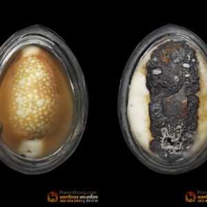 เบี้ยแก้ หลวงพ่อคำ วัดโพธิ์ปล้ำ อำเภอวิเศษชัยชาญ ปรอทรั่ว แต่ยังมีอยู่เขย่าดังปกติ พุทธคุณเต็ม100เหมือนเดิม เบี้ยแก้ หลวงพ่อคำ จังหวัดอ่างทองในยุคแรกๆ หลวงพ่อท่านจะซื้อตัวหอยเบี้ยมาจากร้านขายยา แต่หลังจากปี พ.ศ. 2493 เบี้ยแก้ของท่านเป็นที่นิยมกันมาก ต้องไปหาซื้อมาจากจังหวัดชายทะเล ส่วนชันโรงได้มาจากจอมปลวกในป่า ในตอนหลังๆ มีไม่พอใช้ท่านจึงเปลี่ยนมาใช้ชันยาเรือแทน เบี้ยแก้ของหลวงพ่อคำนับว่าแปลกจากเบี้ยแก้อื่นๆ คือท่านจะเคี่ยวตะกั่วในกระทะให้ละลายแล้วนำตะกั่วที่หลอมละลายมาเทลงไปในกระบอกไม้ไผ่ ซึ่งตัดเป็นท่อนๆ แบบกระบอกข้าวหลาม จากนั้นจึงนำผ้ามาปิดปากกระบอกแล้วเขย่าโดยเร็ว ให้ตะกั่วแตกตัวเป็นเม็ดกลมๆ เล็กๆ เพื่อนำไปเลี้ยงเป็นอาหารของปรอท จึงทำให้เป็นลักษณะพิเศษของเสียงปรอท เวลาเขย่าจะมีดังแซ็กๆ คล้ายเสียงของเม็ดทราย แต่ไม่ใช่ทรายอย่างที่หลายคนเข้าใจ หลังจากนั้นหลวงพ่อจะใช้วิธีเรียกปรอทบรรจุลงในตัวเบี้ยด้วยการบริกรรมคาถา โดยนำเบี้ยวางลงบนถาดแล้วเอาหญ้าคาพาดปรอทจากนั้นจึงบริกรรมคาถาไปเรื่อยๆ จนปรอทวิ่งเข้าไปในตัวเบี้ยทั้งหมด เคยมีลูกศิษย์ของท่านได้แอบดูตอนปรอทวิ่งเข้าตัวเบี้ย จะเห็นมีแสงสว่างเหมือนแสงนีออน หลังจากนั้นจึงอุดใต้ท้องเบี้ยด้วยชันโรง และปิดแผ่นทองแดงที่จารอักขระปิดทับลงไป เบี้ยแก้ หลวงพ่อคำ จะมีแผ่นทองแดงให้เห็นทุกตัว จากนั้นหลวงพ่อจึงนำเบี้ยไปปลุกเสกในกุฏิด้วยตัวท่านเองทุกครั้ง ชันที่ปิดใต้ท้องเบี้ยมีอยู่ด้วยกัน 3 แบบ คือ ชันโรงยุคแรก ชันยาเรือ และชันยาเรือผสมผงอิทธิเจ ซึ่งอย่างหลังนี้พบน้อยมาก ในสมัยที่หลวงพ่อคำยังมีชีวิตอยู่นั้นท่านได้สร้างวัตถุมงคลไว้หลายอย่างด้วยกัน เช่น สมเด็จหู เหรียญทำบุญอายุครบ 60 ปี สมเด็จปรกโพธิ์เก้าชั้น พระเนื้อว่านหลายพิมพ์ ผ้ายันต์ ตะกรุด รูปถ่าย และเบี้ยแก้ แต่ที่มีชื่อเสียงมากที่สุดก็เห็นจะเป็นเบี้ยแก้นี่แหละพระครูวิตถารสมณกิจ (คำ ปัญญาสาโร) วัดโพธิ์ปล้ำ อำเภอวิเศษชัยชาญ จังหวัดอ่างทอง ท่านเกิดในปี พ.ศ. 2432 นับว่าท่านอาวุโสน้อยที่สุดในพระเกจิอาจารย์ที่สร้างเบี้ยแก้ หลวงพ่อคำท่านมรณภาพเมื่อวันที่ 25 มิถุนายน พ.ศ. 2503 สิริอายุได้ 72 ปี พรรษาที่ 52 เบี้ยแก้หลวงพ่อคำ วัดโพธิ์ปล้ำ จ.อ่างทอง ถูกจัดอันดับให้อยู่1ใน5เบญจภาคีเบี้ยแก้ของเมืองไทยอันประกอบไปด้วย 1 .เบี้ยแก้หลวงปู่รอด วัดนายโรง กทม 2. เบี้ยแก้หลวงปู่บุญ วัดกลางบางแก้ว จ.นครปฐม หรือ (เบี้ยแก้หลวงปู่เพิ่ม วัดกลางบางแก้ว จ.นครปฐม) 3. เบี้ยแก้หลวงพ่อนุ่ม วัดนางใน จ.อ่างทอง 4. เบี้ยแก้หลวงพ่อภักตร์ วัดโบสถ์ จ.อ่างทอง 5. เบี้ยแก้หลวงพ่อคำ วัดโพธิ์ปล้ำ จ.อ่างทอง คุณประโยขน์ของเบี้ยแก้ สิ่งที่กระทำร้ายมาจะกลับส่งผลไปในทางดี กัน-แก้สิ่งอัปมงคลกระทำย้ำยี เรียกขวัญให้กลับมาทั้งหนุนดวงและโชคลาภ เบี้ยแก้หลวงพ่อคำสภาพเดิมที่ท่านสร้างคือสภาพเปลือยแต่ก็มีผู้ที่ได้มานำไปเลี่ยม เงิน นาค และทอง ส่วนร้านก็อยู่ในตลาดวิเศษ ร้านที่เลี่ยม มักตอกชื่อร้านไว้ด้านหลัง เช่น ร้านหมง ร้านตมข หรือร้านต้นมะขาม และที่ไม่ตอกแบบตัวที่แสดงนี้ก็มี (ส่วนใหญ่เก๊ตอกหมงจะเยอะ ต้องแกะออกมาดู เพราะเลี่ยมเงินหุ้มไม่เห็นชันโรง)