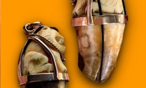 เขีี้ยวเสือแท้ เขี้ยวเสือป่า เขี้ยวเสือกระเด็น เก่ามากดูง่ายสบายตา เลี่ยมกระเช้าทอง