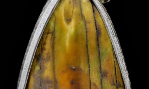 งาแกะโบราณ (ใช้งานจนสึก) แกะจากปลายงากำจัด อายุนับร้อยปี ใส่กระเช้าเงินสั่งทำใหม่