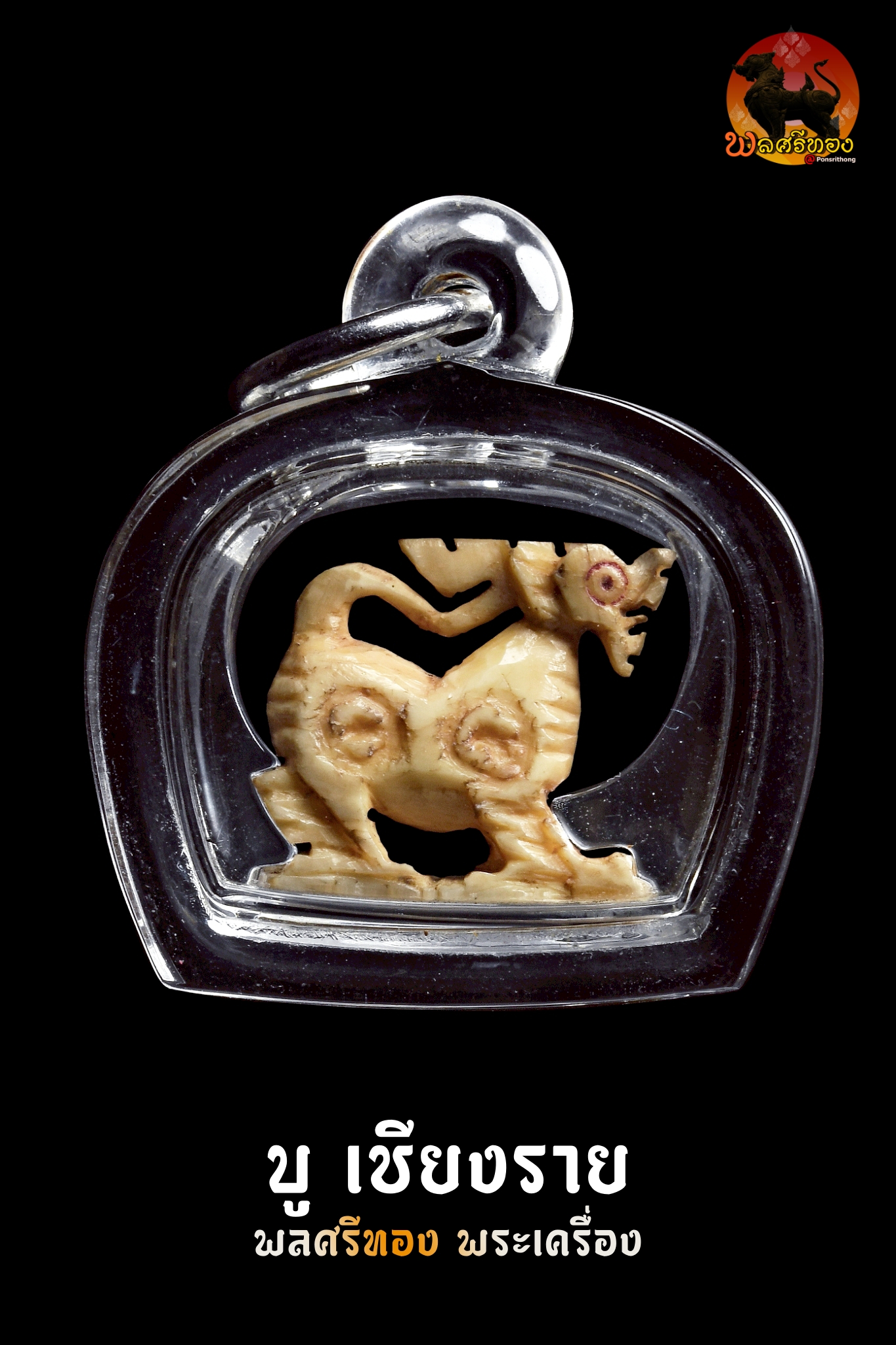 สิงห์งาแกะ หลวงพ่อมุ่ย วัดดอนไร่ ศิลป์คอม้าหัวมังกร ศิลป์นี้นิยมหามากๆครับ นานๆได้พบเจอ สิงห์ตัวจิ๋งพุทธคุณครอบจักรวาล เด่นมากเรื่องเมตตา ค้าขาย อำนาจ วาสนา ประวัติ ตามประวัติแล้วหลวงพ่อมุ่ยท่านเป็นพระเกจิอาจารย์อีกองค์ที่ไม่ธรรมดา และอาจารย์ของท่านก็ไม่ธรรมดาเช่นกันอย่างเช่น 1.หลวงปู่ศุข วัดปางคลองมาขามเฒ่า 2.หลวงพ่ออิ่ม วัดหัวเขา จ.สุพรรณบุรี และ อีกหลายท่านเพราะท่านประพฤติปฏิบัติตนแบบน้ำไม่เต็มแก้ว ชอบศึกษาหาความรู้อยู่เป็นนิตย์ท่านเป็นพระที่มีเมตตามาก #พระเครื่องและวัตถุมงคลของท่านมีความศักดิ์สิทธิ์และมีประสบการณ์แก่ผู้อาราธนาสวมใส่ สำหรับสิงห์งาแกะของท่านนั้นเป็นที่ล่ำลือกันว่าหลวงพ่อปลุกเสกจนสิงห์ทุกตัวมีจิตมีชีวิต สิงห์งาแกะที่ปลุกเสกในบาตรกระโจนกระโดดโลดเต้นดังลูกกบลูกเขียด เป็นสิงห์เมตตา มหาเสน่ห์ และเปี่ยมด้วยอำนาจบารมี แคล้วคลาดปลอดภัย น่าบูชาเป็นยิ่งนัก เครื่องรางของท่านมีไม่มากนักแต่ก็เป็นที่นิยมอย่างมากในหมู่ศิษย์สายสุพรรณ #ปัจจุบันนี้สิงห์หลวงพ่อมุ่ยได้รับความนิยมอย่างมาก นับวันยิ่งหายาก และมีคุณค่ามาก ด้วยพุทธคุณ บารมีของหลวงพ่อมุ่ยในการปลุกเสกสิงห์ ทำให้สิงห์ของท่านดูมีมนต์ขลัง ดูมีอำนาจมากและนับวันสิงห์ที่แกะออกมาในลักษณะสวยๆ ยิ่งหายากเข้าไปใหญ่ #สิงห์ตัวเล็กแต่พุทธคุณมหาศาลครบทุกด้าน แคล้วคลาด เดินทางปลอดภัย เมตตามหานิยม เจริญรุ่งเ้รืองในหน้าที่การงาน ศิริมงคลยิ่งนัก #คำอาราธนาพระเครื่องของ หลวงพ่อมุ่ย วัดดอนไร่ ตั้งนะโม 3 จบ ให้ระลึกพระรัตนตรัย จึงอาราธนาว่าดังนี้ “พระพุทธะราธนานัง พระธัมมะราธนานัง พระสังฆะราธนานัง วิญญาณ นะสัมปันโน อิติปิโส นะโมพุทธายะ” เมื่อเข้าที่คับขัน จงภาวนาพระคา (ชินบัญชร) ย่อดังนี้ “ชะยา สะนา กาตา พุทธาฯ” -สิงห์เนื้องาฉ่ำเก่า มันส์เงา ------------------ พระเกจิอาจารย์อาคมขลัง เป็นที่ประจักษ์โด่งดังแห่งยุค ดังวลีอมตะ "ท่านมุ่ยได้ข่าวว่าท่านขลังนัก ทำอย่างไรถึงขลัง" "ตั้งแต่เกล้าบวชทำแต่ความดีไม่เคยทำชั่ว ถ้าจะขลังก็ขลังที่ความดีขอรับ" อายุ ๘๖ ปี (ปี ๒๔๓๑ - ๒๕๑๗) พ.ศ.๒๔๗๕ ได้รับตราตั้งเป็น เจ้าอาวาสวัดดอนไร่ พ.ศ.๒๔๗๖ ได้รับตำแหน่งเป็นเจ้าคณะ ตำบลหนองสะเดา พ.ศ.๒๔๙๖ ได้รับตำแหน่งพระอุปัชฌาย์ ฑ.ศ.๒๕๐๒ ได้รับสมณะศักดิ์ เป็นพระครูชั้นตรี (พระครูสุวรรณวุฒาจารย์) หลวงพ่อมุ่ย วัดดอนไร่ เป็นบุตรของนายเหมือน นางซัง นามสกุล มีศรีชัย เกิดวันพฤหัสบดีที่ ๕ ธันวาคม ๒๔๓๑ ขึ้น ๑๓ ค่ำ เดือนอ้าย ปีฉลู เป็นบุตรคนกลางในจำนวน ๕ คน อุปสมบทครั้งแรก ปี ๒๔๕๑ จนถึงปี ๒๔๖๓ จึงลาสิกขามาเพื่อช่วยครอบครัวได้ไม่กี่เดือนผมยังไม่ทันยาวก็เกิดอาการป่วยมือสั่นและทรุดลงเรื่อยๆ รักษาไม่ได้บรรดาญาติจึงขอให้ท่านอธิษฐานถ้าหายเจ็บไข้จะบวชอีกครั้ง หลังจากนั้นท่านจึงหาย และได้อุปสมบทเข้าสู่ร่มกาสาวพัตร์อีกครั้ง ณ พัทธสีมา วัดดอนบุปผาราม อ.ศรีประจันต์ หลวงพ่อมุ่ยได้ศึกษาเล่าเรียนกับพระอุปปัชฌาย์รูปแรกของท่าน หลวงพ่ออิ่ม วัดหัวเขา มาโดยตลอดตั้งแต่แรก ซึ่งในยุคนั้นสำนักวัดหัวเขาโด่งดังมาก รวมถึงในปี ๒๔๖๓ นั้นหลวงพ่ออิ่มท่านได้ฝากหลวงพ่อมุ่ยไว้กับพระอาจารย์ที่สุดยอดขิงเมืองไทยอีกรูปนึงคือ หลวงพ่อวัดปากคลองมะขามเฒ่า หรือหลวงปู่ศุข นั่นเอง โดยหลวงพ่ออิ่มถึงกับออกปากชมว่า "ท่านได้วิชาหลวงปู่ศุขมาครึ่งเล่ม ส่วนท่านมุ่ยได้มาเล่มครึ่ง" ซึ่งหมายความว่าตัวท่านนั้นแก่ชราแล้วความจำสู้พระหนุ่มๆอย่างหลวงพ่อมุ่ยไม่ได้นั่นเอง ส่วนคำว่าเล่มนั่นหมายความถึงเล่มเกวียน ที่มีขนาดพอๆกับรถกะบะใหญ่ๆสมัยนี้นั่นเอง และก่อนหลวงพ่ออิ่มมรณะภาพท่านยังออกปากว่า "ถ้าสิ้นบุญท่านแล้ว จะมีดอกบัวบานทางทิศใต้" ซึ่งหมายถึงวัดดอนไร่นั่นเอง และหลังจากปี ๒๕๐๐ เป็นต้นมา ชื่อเสียงของหลวงพ่อมุ่ยในด้านความขลัง ศักดิ์สิทธิ์ รดน้ำมนต์ ค้าขาย โด่งดังเป็นที่สุดในแถบภาคกลาง เกิดเป็นวลีอมตะ ดังที่สมเด็จพระสังฆราช จวน วัดมกุฏกษัตริยาราม ได้เสด็จมาเป็นประธานในการปลุกเสกพระเครื่องยุทธหัตถี ที่พระวิสุทธิสารเถระ หรือหลวงพ่อถิร วัดป่าเลไลยก์วรวิหาร เป็นแม่งานในการจัดสร้าง สมเด็จฯได้พบกับหลวงพ่อมุ่ย จึงตรัสถามหลวงพ่อมุ่ยว่า "ท่านมุ่ยได้ข่าวว่าท่านขลังนัก ทำอย่างไรถึงขลัง" หลวงพ่อมุ่ยก็ตอบว่า"ตั้งแต่เกล้าบวชทำแต่ความดีไม่เคยทำชั่ว ถ้าจะขลังก็ขลังที่ความดีขอรับ" สมเด็จฯได้ยินดังนั้นทรงชื่นชอบในคำตอบของหลวงพ่อมุ่ยเป็นอย่างมาก การปลุกเสกพระเครื่งนั้น ท่านไม่ค่อยที่จะสร้างมากนักมีแต่ลูกศิษย์กับญาติโยมในวัดที่ร้องขอท่านเพราะต้องการที่จะสร้างถาวรวัตถุภายในบริเวณวัดให้และแจกจ่ายให้กับผู้ร่วมทำบุญ ซึ่งท่านก็เมตตาปลุกเสกและแนะนำให้ การเสกแต่ละครั้งนั้นไม่ว่าจะเป็นรูปหล่อ สิงห์งาแกะ ท่านปลุกเสกจนขยับวิ่งได้ราวกับมีชีวิตเลยที่เดียวจากคำบอกเล่าของศิษย์ใกล้ชิด ช่วงว่างของท่านนั้นท่านจะภาวนาอยู่เสมอและจ้องมองไปที่ต้นสำโรงต้นใหญ่กลางวัดเป็นประจำ เม็ดสำโรงของวัดดอนไร่ก็ศักดิ์สิทธิ์ยิ่งนัก แม้กระทั่งก้นยาฉุนของหลวงพ่อมุ่ยนั้น ช่วงแรกๆ วัยรุ่นแถววัดที่ไม่ค่อยมีสตางค์นำก้นยาใส่กระเป๋าไปเที่ยวงานต่างถิ่นและมีเรื่องมีราวชกต่อยไล่ฟันกันไม่เข้า และอีกเรื่องนึงเด็กวัดได้เหน็บก้นยาหลวงพ่อมุ่ยไว้ที่เอว ถูกสุนัขกัดจนล้มก็ไม่เข้า ต่อมาจึงเป็นที่นิยมมากขึ้น จนมาเฝ้ากันใต้กุฏิหลวงพ่อมุ่ย นั่งรอก้นยาฉุนเวลาที่หลวงพ่อท่านสูบ บางครั้งหลวงพ่อท่านก็เย้าเล่นโยนลงไปพวกเด็กๆก็วิ่งตามไปปรากฎว่าไม่มีก้นยาหล่นมา หลวงพ่อท่านก็ยิ้ม หลวงพ่อมุ่ยท่านรับสงเคราะห์อนุเคราะห์ลูกศิษย์ไม่เลือกชั้นวรรณะ จะร่ำรวยมียศถาบรรดาศักดื์มาก็ต้องตามคิวรอไม่มีมาหลังได้ก่อนมาก่อนได้หลัง จังหวัดข้างเคียง ชัยนาท สิงห์บุรี อยุธยาในยุคนั้นวิ่งเข้าวัดดอนไร่มากมายนักว่ากันว่าสิงห์งาแกะหรือวัตถุมงคลงาแกะต่างๆ ที่นิยมจากช่างพยุหะคิรีนั้นทำส่งวัดดอนไร่เป็นปี๊บๆ ก็ไม่พอเช่าบูชาแก่ญาติโยมและลูกศิษย์ในยุคนั้นเลยทีเดียว หลวงพ่อมุ่ย ละสังขารเมื่อวันที่ ๑๕ มกราคม ๒๕๑๗ แต่ความขลังและความศักดิ์สิทธิ์ของท่านยังคงอยู่ตราบนานเท่านาน