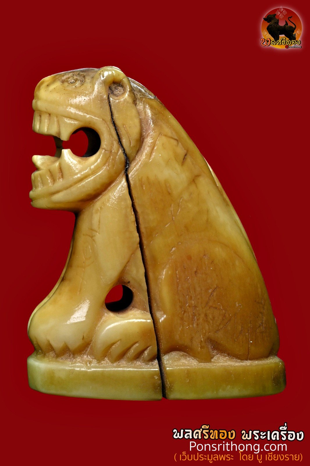 เขี้ยวเสือแกะ เขี้ยวแท้ เก่าจัด ศิลป์หลวงพ่อสาย วัดคลองด่าน (วัดบางเหี้ย) จ.สมุทรปราการ